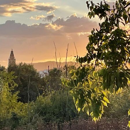 Appartamento Apartamento A 150 Metros Casco Antiguo Cordova Esterno foto